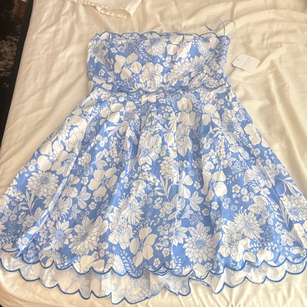 Altar'd State Blue and White Floral Dress